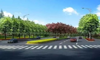 今天起,建筑路改擴建工程正式開始施工 繞行路線提前規劃起來