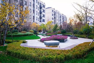 佛山地區(qū)專業(yè)承包園林綠化設(shè)計(jì)施工 花園養(yǎng)護(hù)工程 別墅設(shè)計(jì)施工