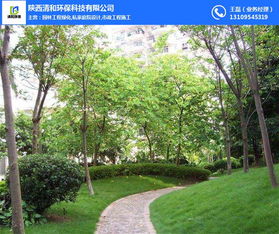 園林工程 清和園林專業(yè)團隊 防風沙園林工程